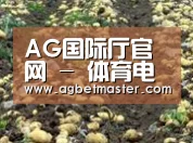 种植基地七