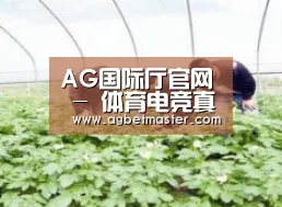 种植基地三